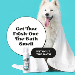 Rinse-Free Deodorizing Shampoo