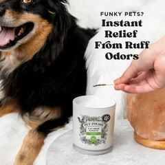 Purrfectly Bamboo Candle - Pet~Pourri Candle