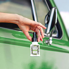Fresh Cruise - Car~Pourri Car Air Freshener