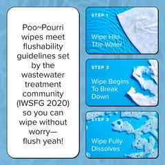 Unscented Flushable Wipes - Poo~Pourri