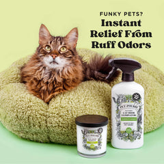 Purrfectly Bamboo - Pet~Pourri Room Spray