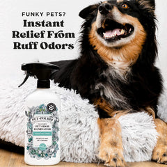 Pawsitively Fresh - Pet~Pourri Room Spray